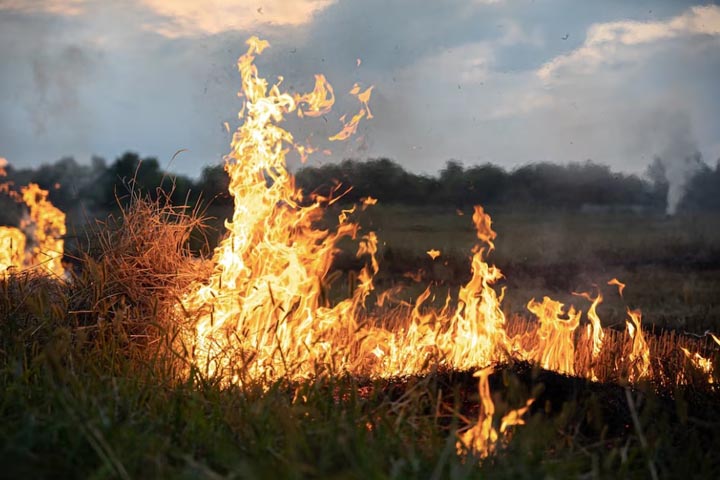 Жителей Хакасии предупредили о высокой пожарной опасности